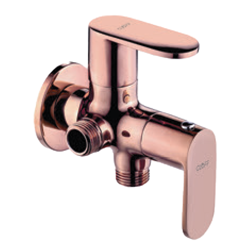 EV-7006-RG 2 Way Angle Cock